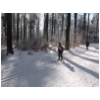 WSV Schotten LL 02 2012 05.JPG